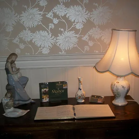 Guest house The Manor